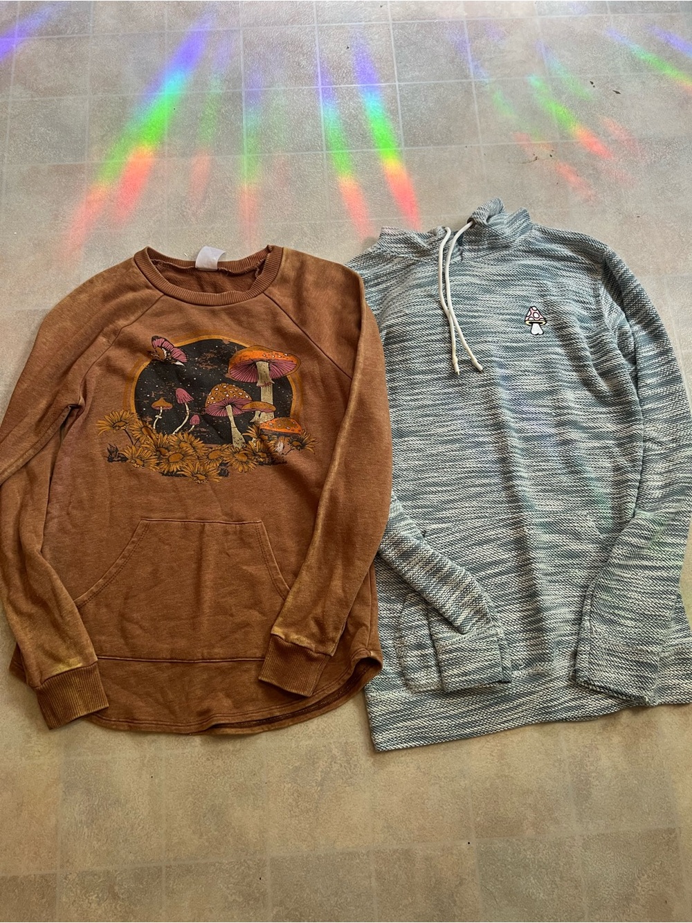 No Boundaries Brown Mushroom Graphic Sweatshirt - Men